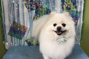 6月のお友達☆