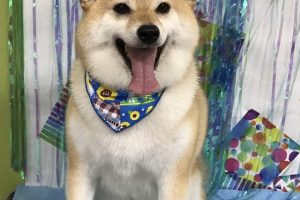 ６月のお友達☆