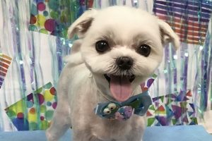6月のお友達☆