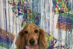 6月のお友達☆