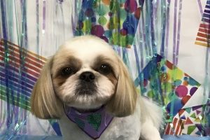 6月のお友達☆
