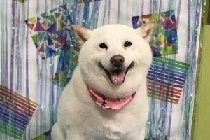 ６月のお友達☆