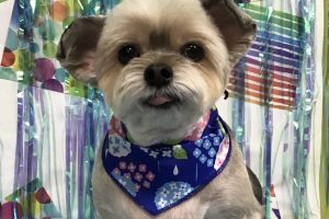 6月のお友達☆