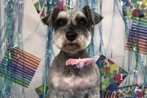 ６月のお友達☆