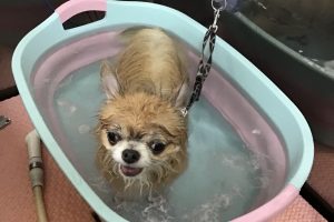 6月のお友達☆