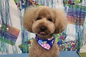 ６月のお友達☆