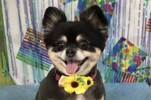 ６月のお友達☆