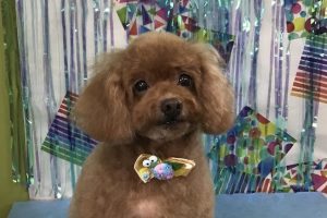 ６月のお友達☆