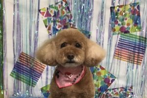 ６月のお友達☆