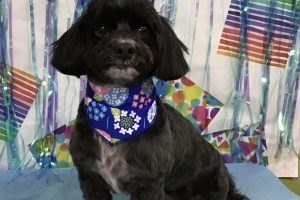6月のお友達☆