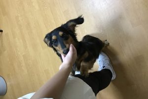 お泊まり中☆