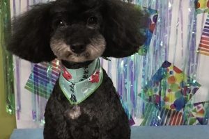 6月のお友達☆