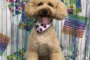 6月のお友達☆