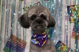 6月のお友達☆