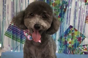 6月のお友達☆