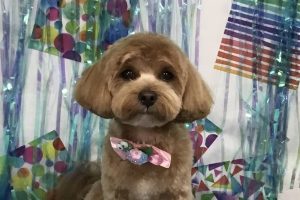 ６月のお友達☆
