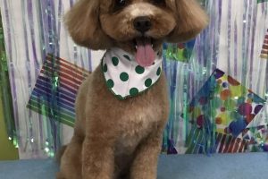 6月のお友達☆