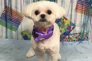 ６月のお友達☆
