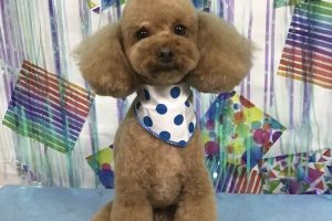 6月のお友達☆
