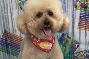6月のお友達☆