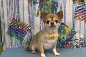 6月のお友達☆