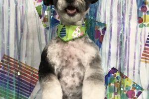 6月のお友達☆