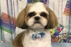 6月のお友達☆