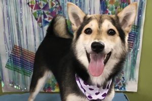6月のお友達☆