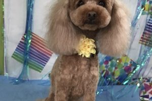 6月のお友達☆