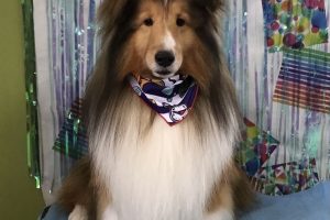6月のお友達☆