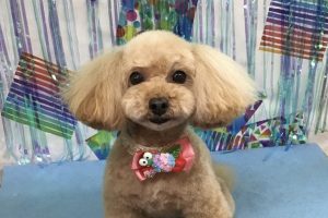 6月のお友達☆