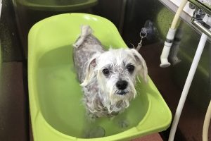 ６月のお友達☆
