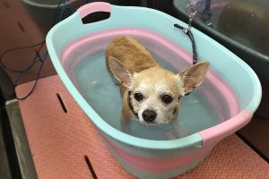 6月のお友達☆