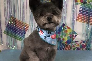6月のお友達☆