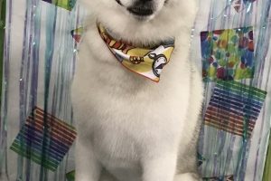 6月のお友達☆