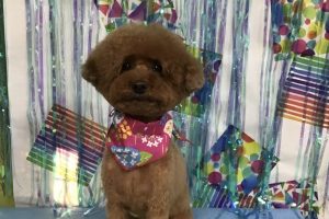 6月のお友達☆