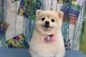 6月のお友達☆