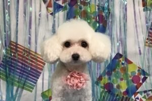 6月のお友達☆