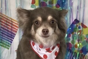 6月のお友達☆
