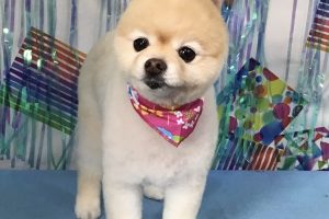 ６月のお友達☆
