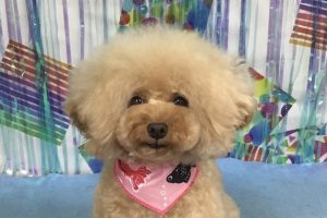 6月のお友達☆