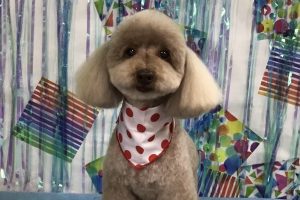 6月のお友達☆