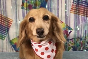 ６月のお友達☆