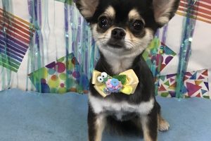 6月のお友達☆