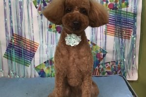 6月のお友達☆