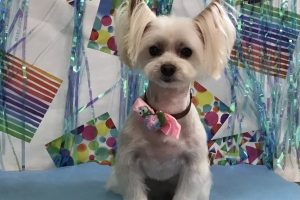 ６月のお友達☆