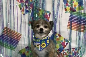 6月のお友達☆