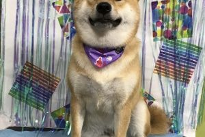 ６月のお友達☆