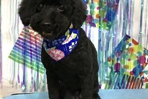 ６月のお友達☆