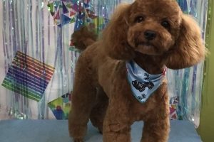 6月のお友達☆